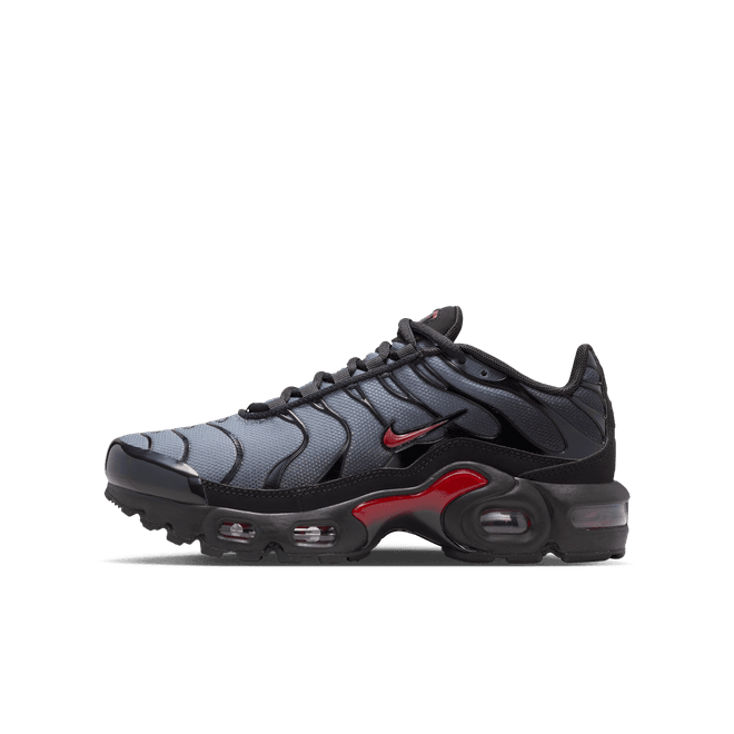 Nike Air Max Plus Older Kids'