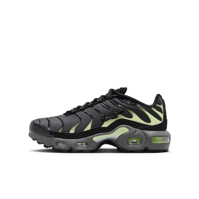 Nike Air Max Plus Older Kids'