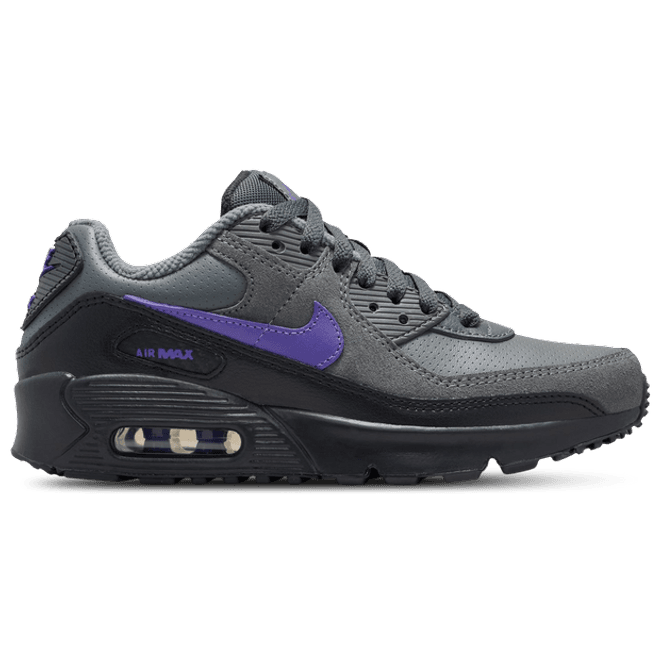 Nike Air Max 90 Kid's  Grey