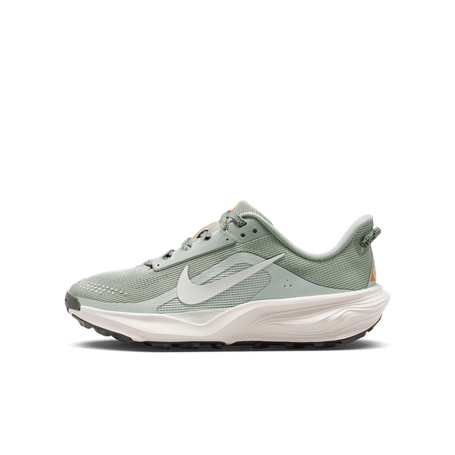 Nike ACG Pegasus Trail Older Kids'