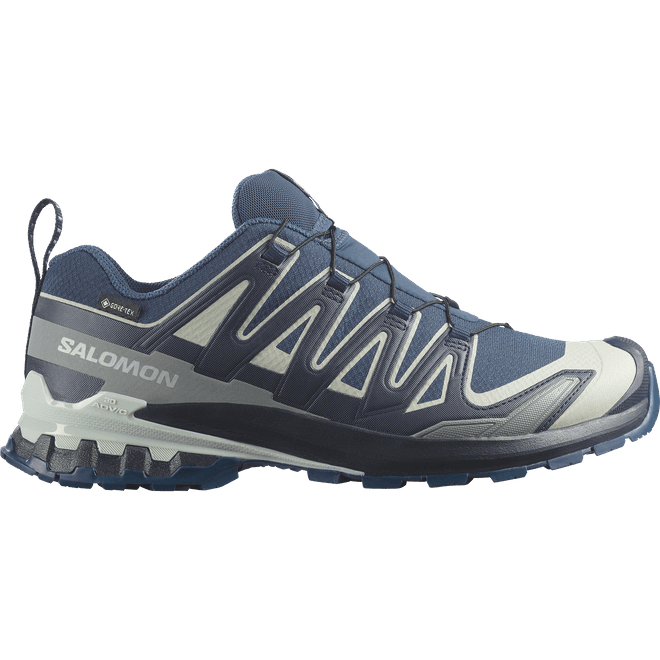 Salomon Xa Pro 3d V9 Gtx 