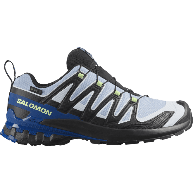 Salomon Xa Pro 3d V9 Gtx Icon 