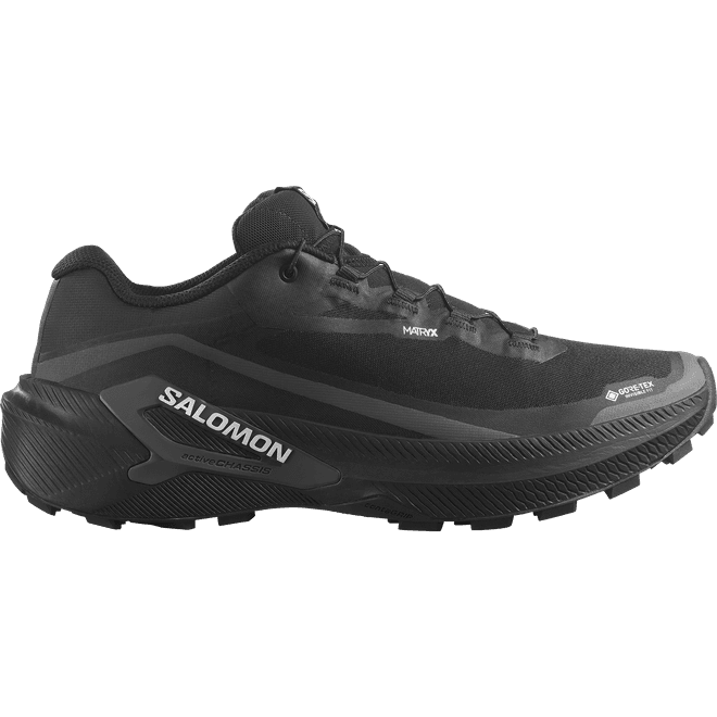 Salomon Genesis 2 Gtx 