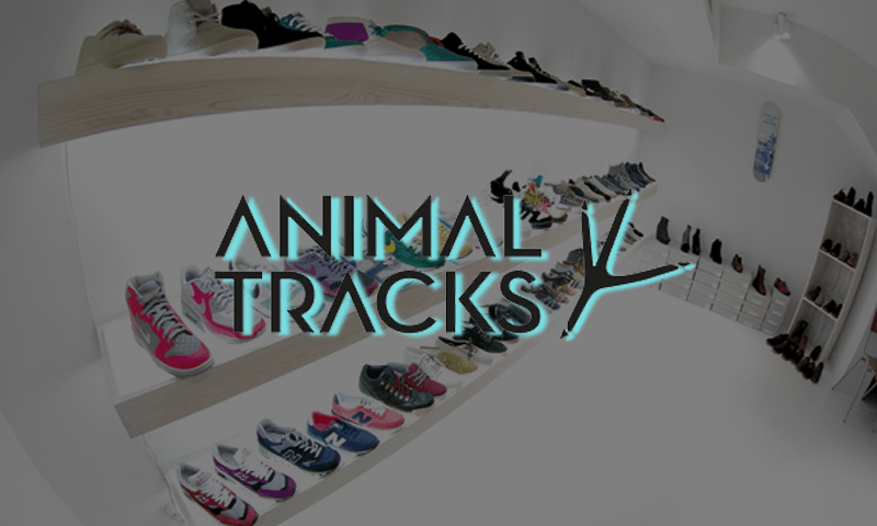 Animal Tracks Top 10