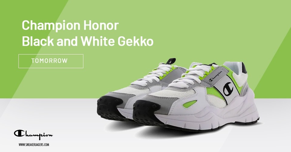 Champion Honor Gekko ab dem 19. Juli um 09.00 Uhr online!