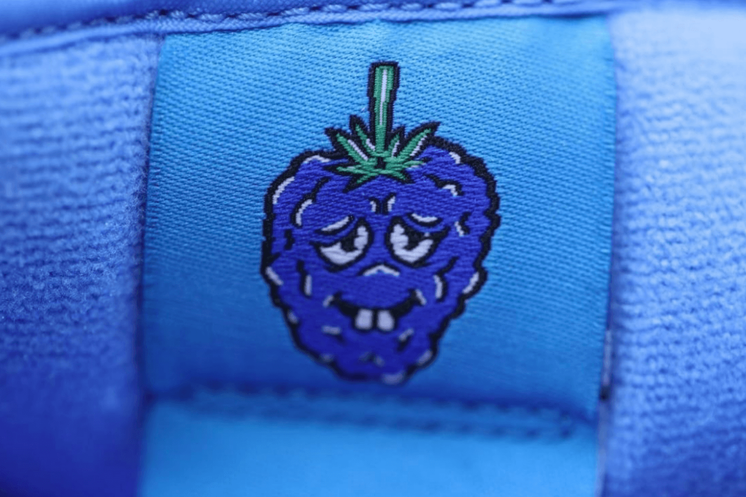 Das Nike SB Dunk Fruity Pack erscheint dieses Jahr