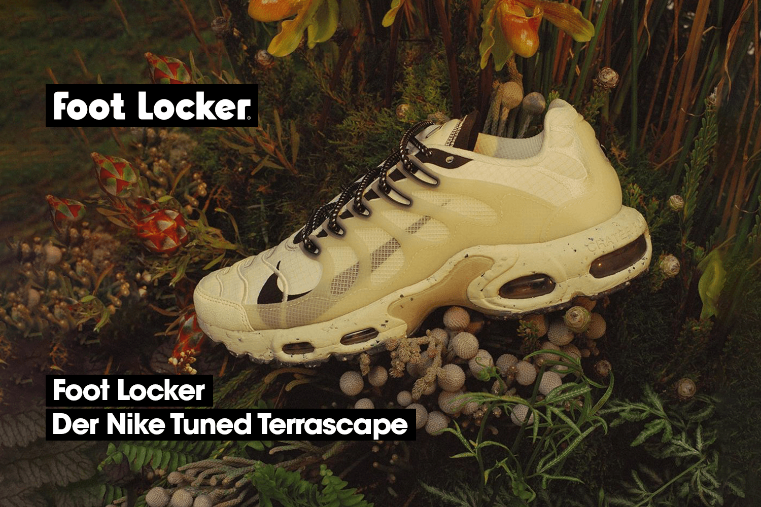Die Nike Tuned Terrascape Modelle bei Foot Locker