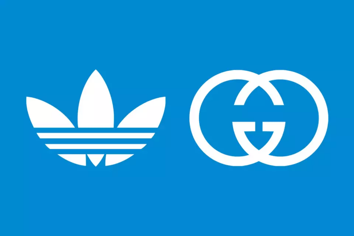First images of Gucci x adidas collab