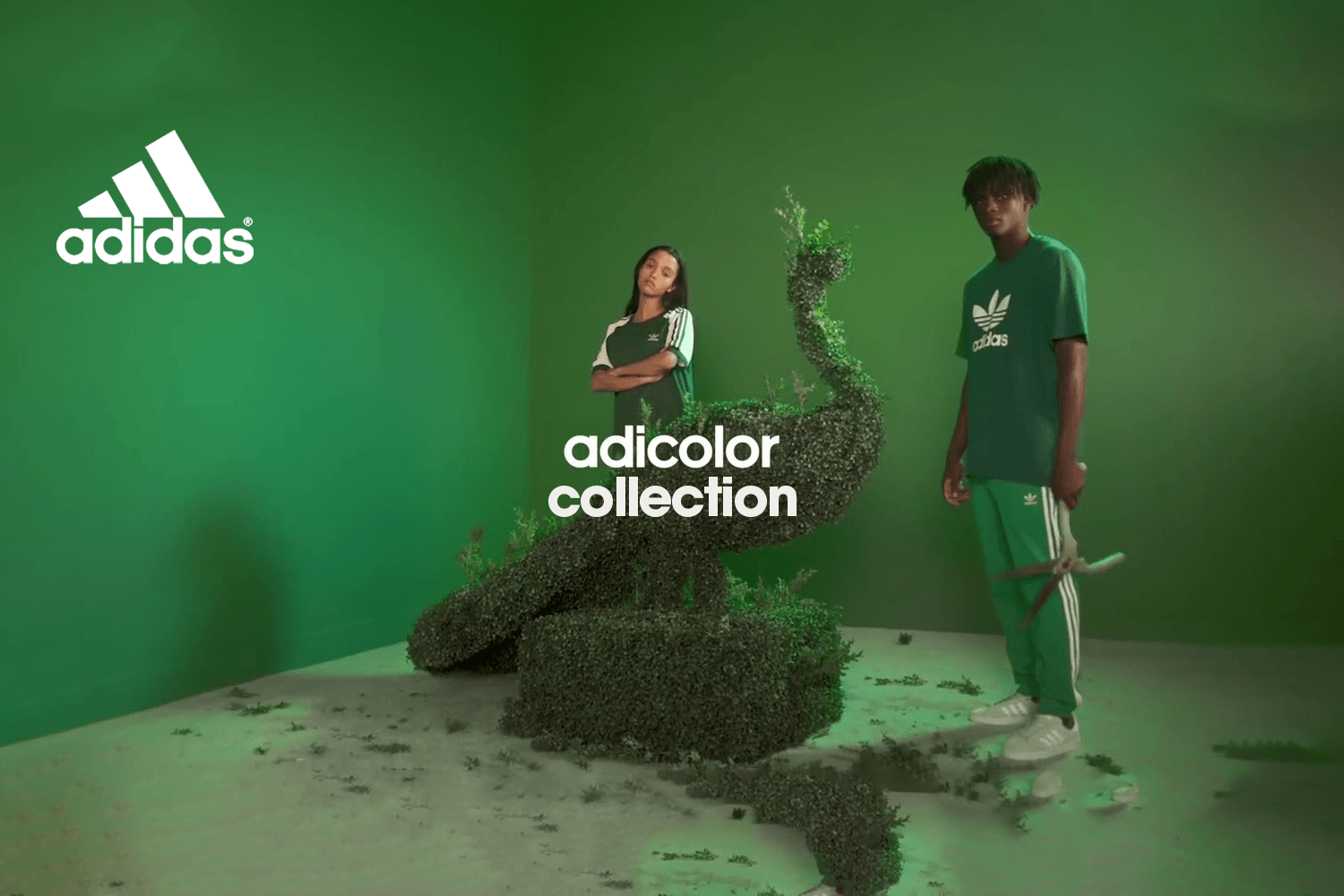 Novelties of the adidas 'ADICOLOR' collection