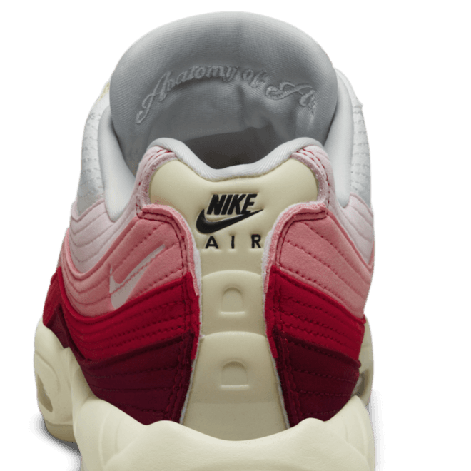 Nike Air Max 95 'Anatomy of Air'