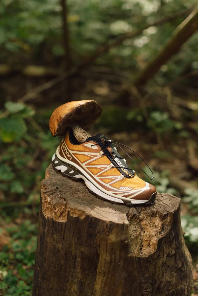END. x Salomon XT-6 'Porcini' mushroom