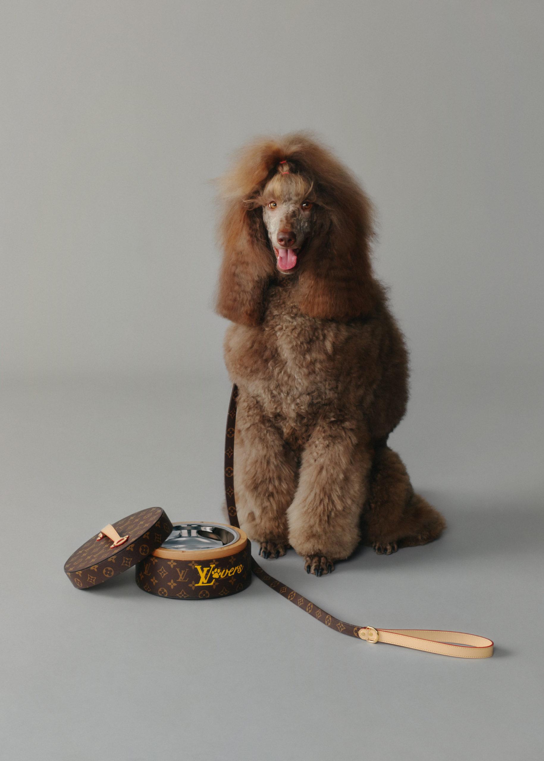 Louis Vuitton Pre-Spring 2025 collection Dog Lovers