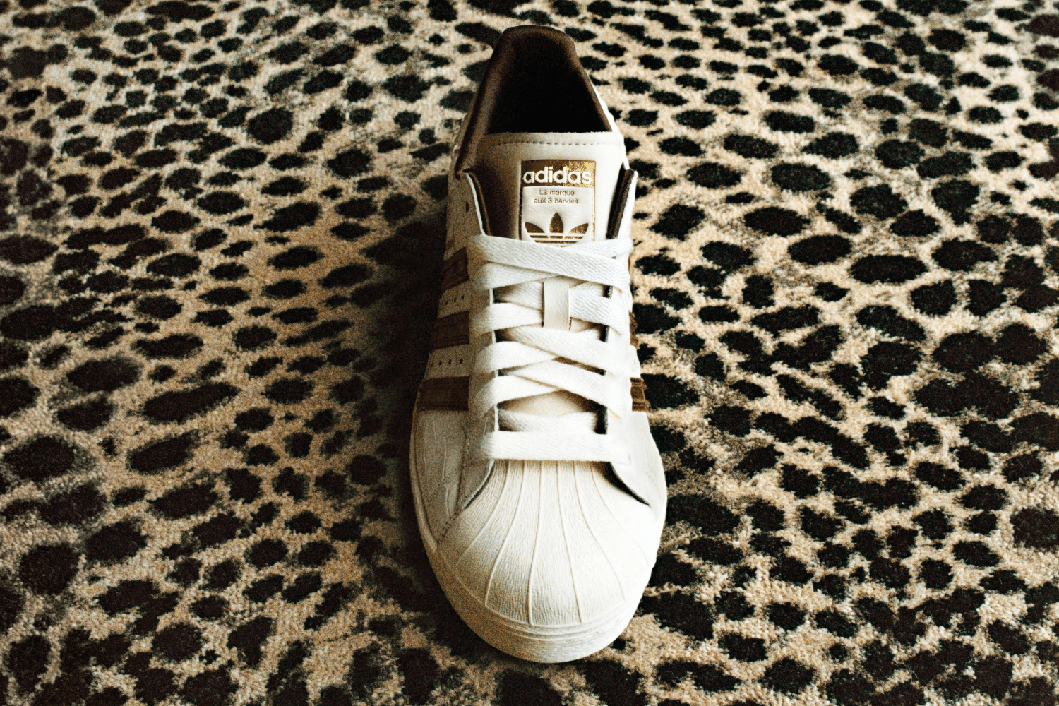 Out now: Grace Wales Bonner präsentiert ihre nächste adidas Kollektion