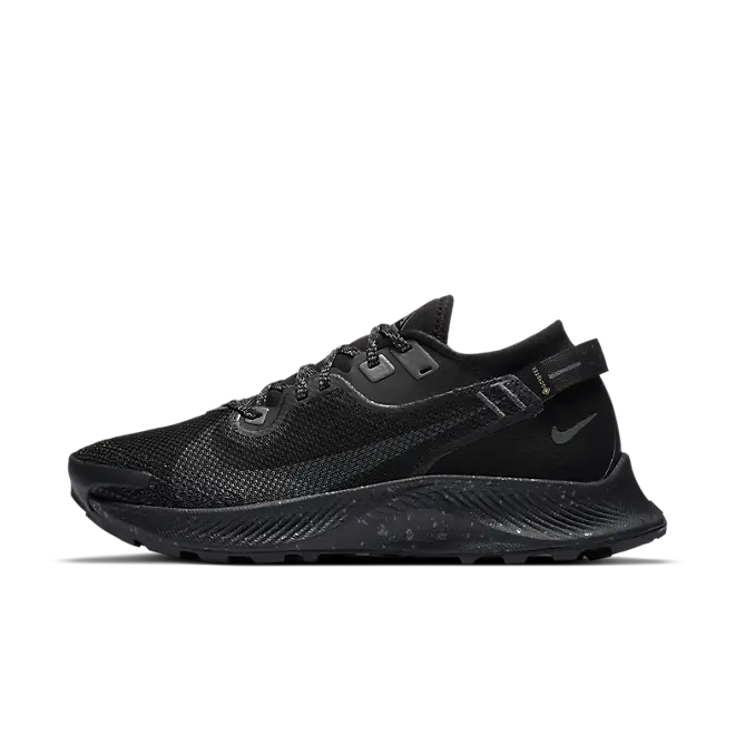 Nike Pegasus Trail 2 GORE