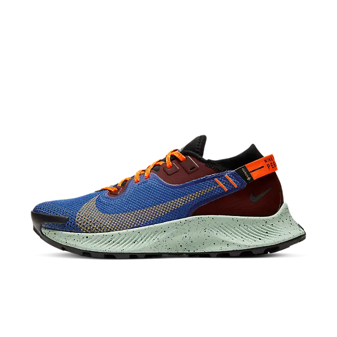Nike Pegasus Trail 2 GORE