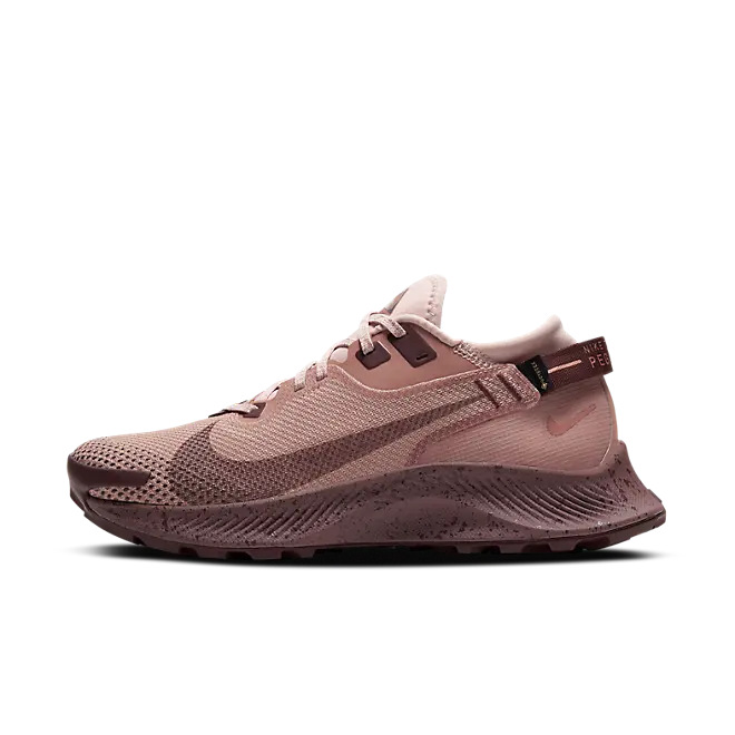 Nike Pegasus Trail 2 GORE