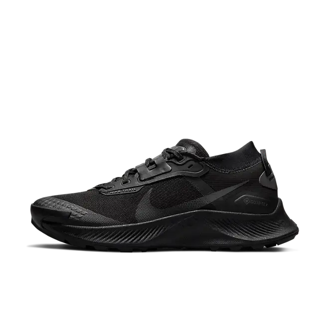 Nike Pegasus Trail 3 GORE