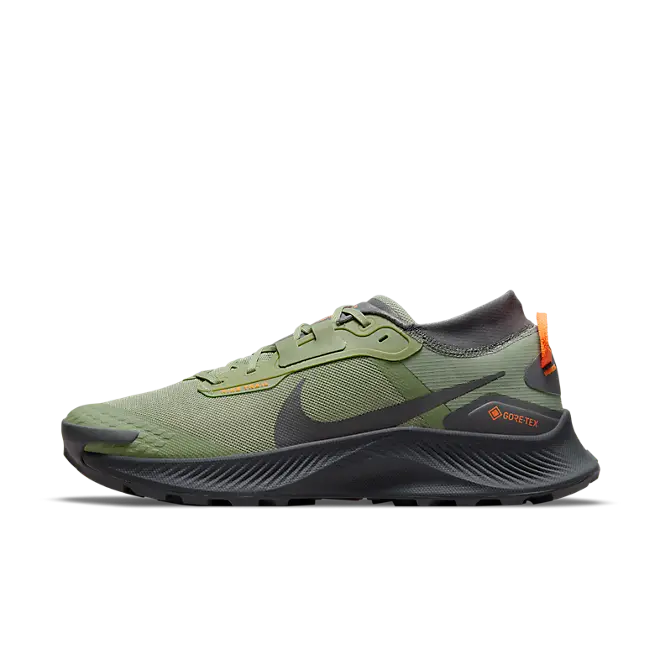 Nike Pegasus Trail 3 GORE