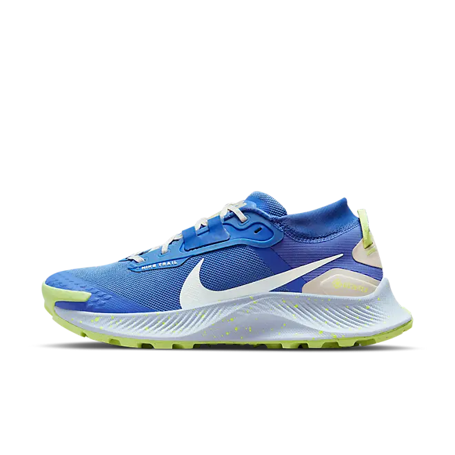 Nike Pegasus Trail 3 GORE