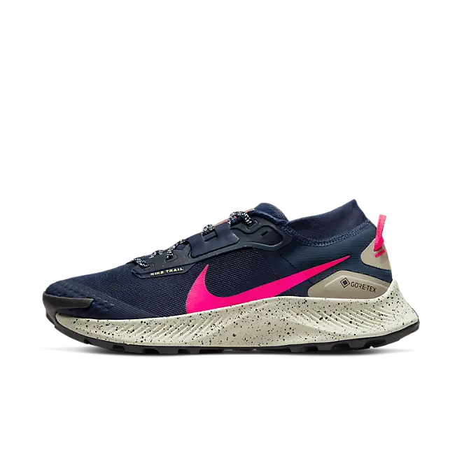 Nike Pegasus Trail 3 GORE