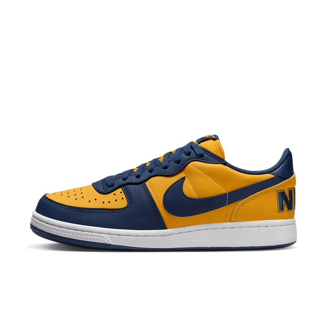 Nike Terminator Low 'Michigan' FJ4206-700