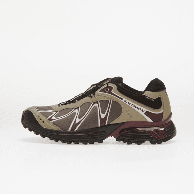 Salomon XT-WHISPER GTX Silves