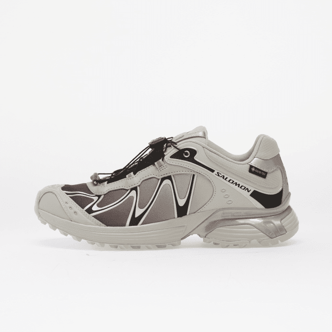 Salomon XT-Whisper GTX Gryvio