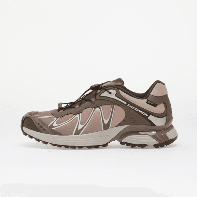 Salomon XT-Whisper GTX Iron