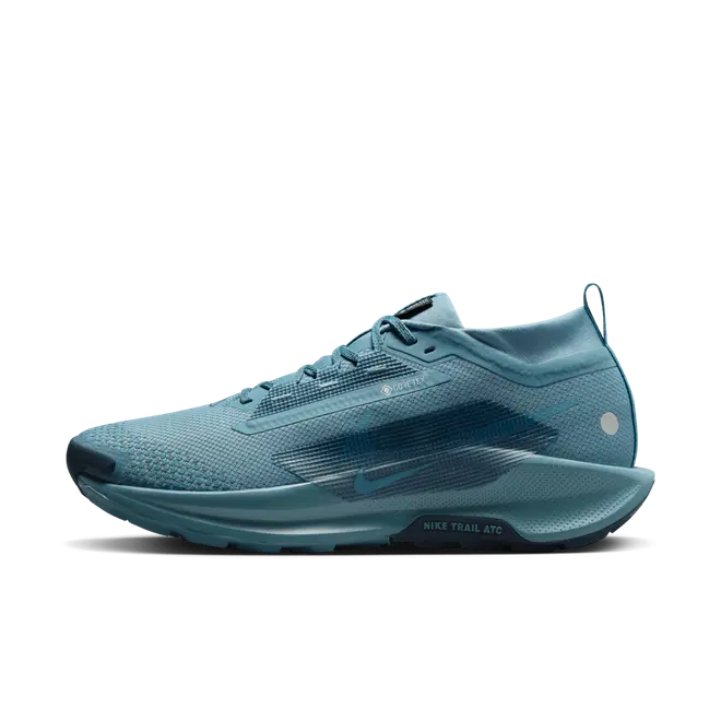 Nike Pegasus Trail 5 GORE-TEX Waterproof Trail