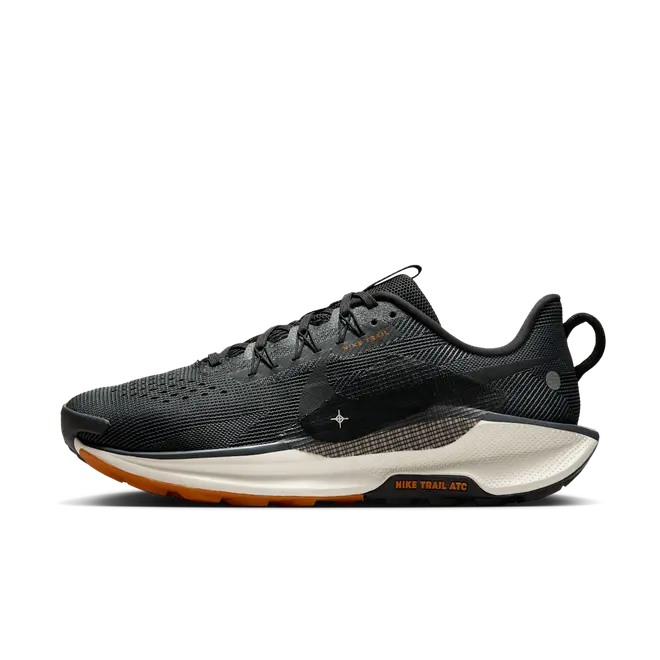 Nike Pegasus Trail 5 Trail-Running