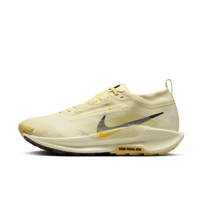 Nike Pegasus Trail 5 GORE-TEX Waterproof Trail