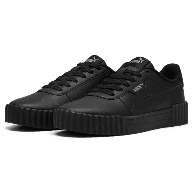 Puma Carina 3.0