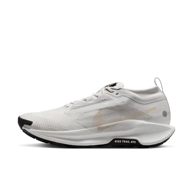 Nike Pegasus Trail 5 GORE-TEX Waterproof Trail-Running