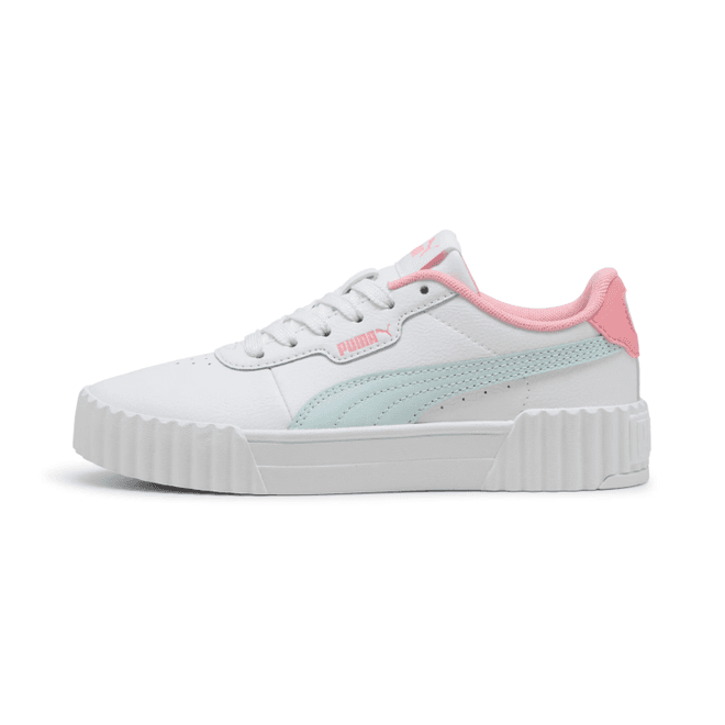 Puma Carina 3.0