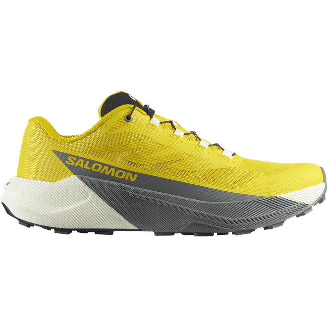 Salomon Pulsar Incaberry