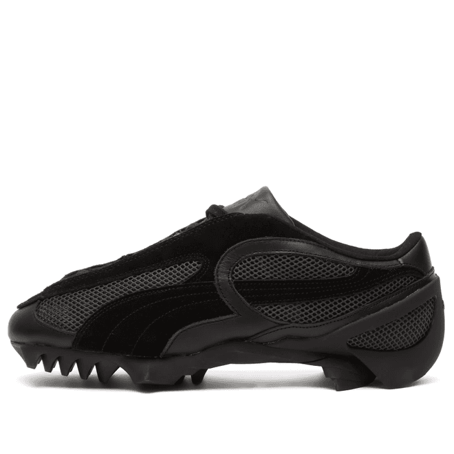 Puma Beisser