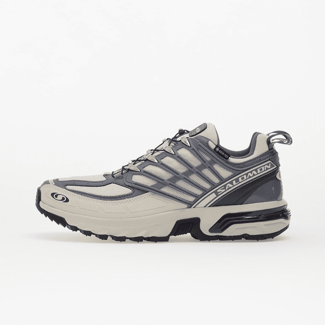 Salomon Acs Pro Gore-tex Lunar Rock