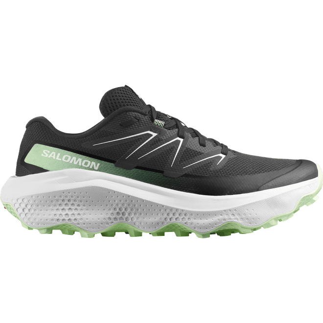 Salomon Ultra Flow 2