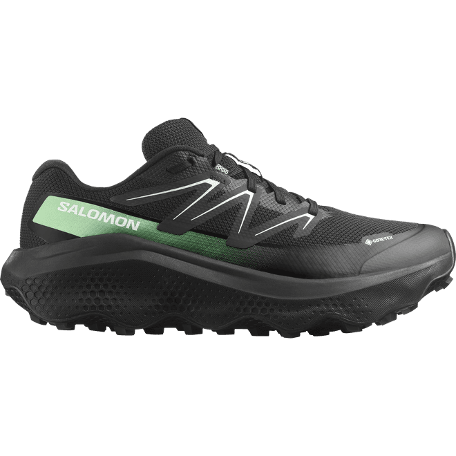 Salomon Ultra Flow 2 Gtx