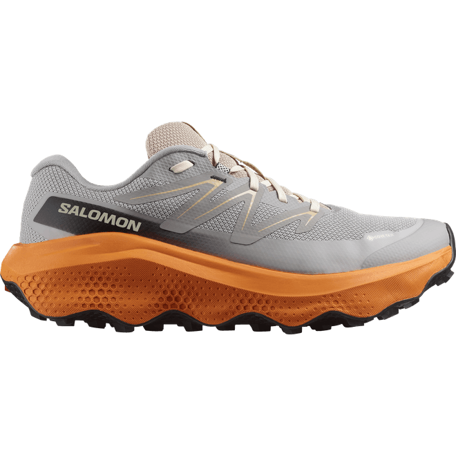 Salomon Ultra Flow 2 Gtx