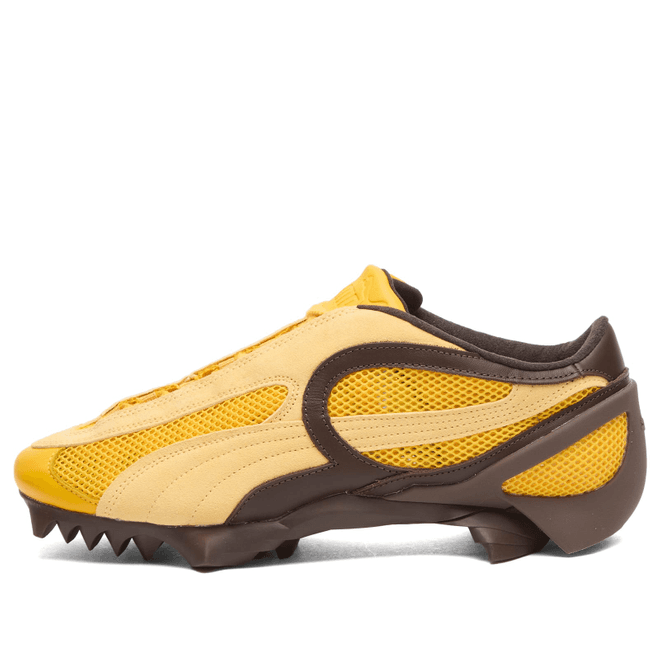 Puma Beisser