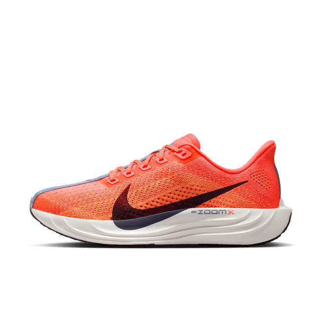 Nike Pegasus Plus Road