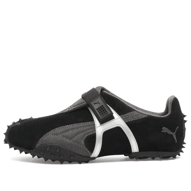 Puma RPT-2
