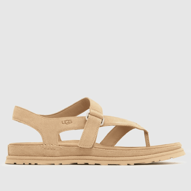 UGG® GoldenGaze Toe Post Sandal Tan