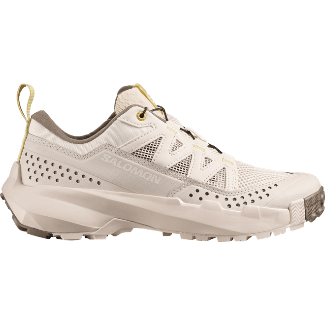 Salomon Terramphibian W