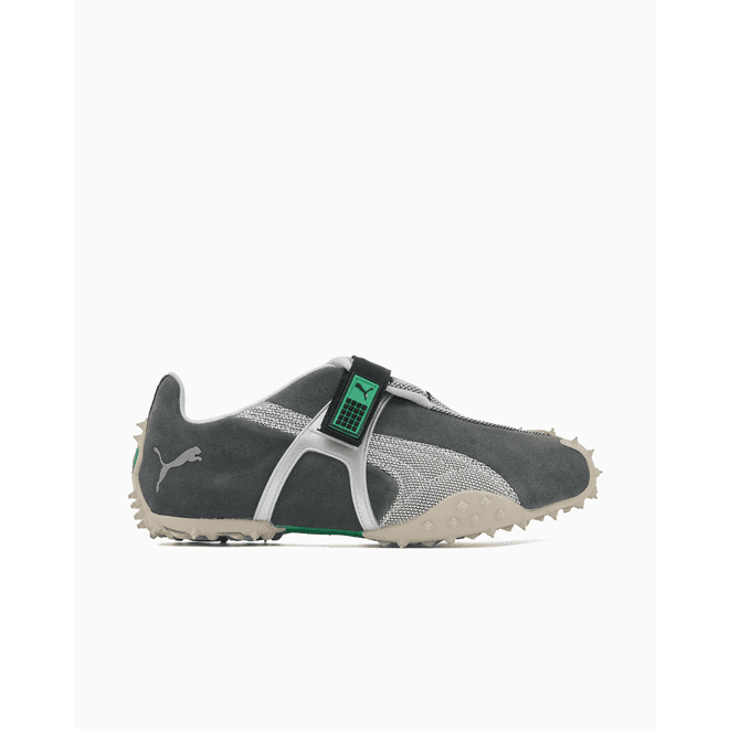 Puma RPT-2