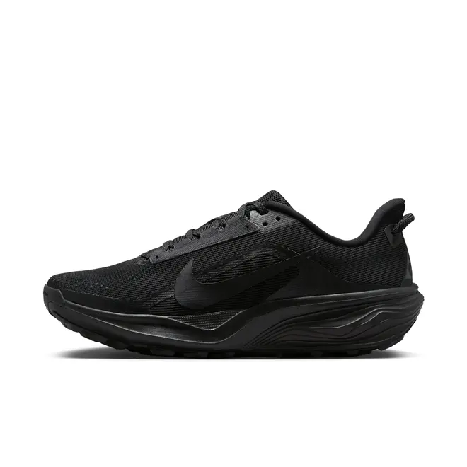 Nike ACG Pegasus Trail Trail