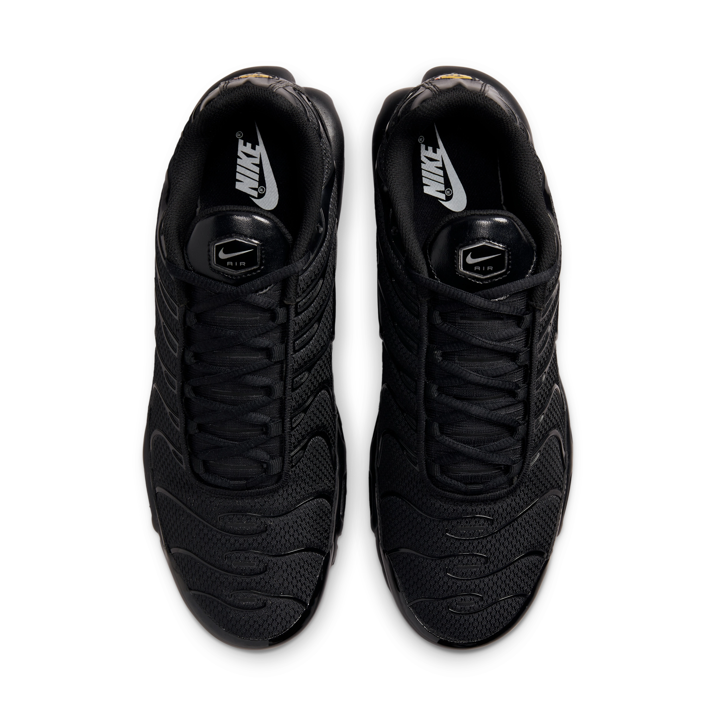 Nike Air Max Plus TN 604133-050