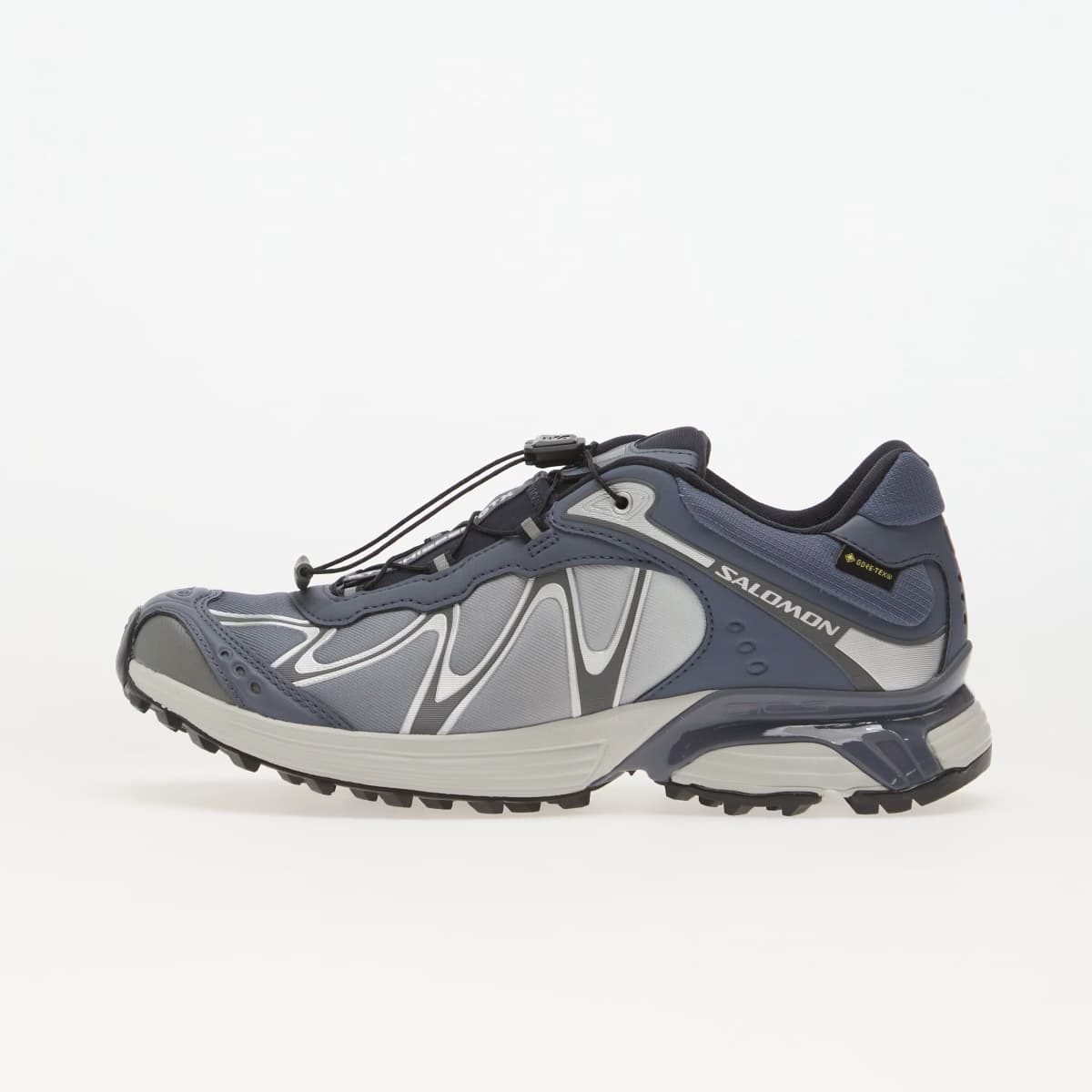 Salomon XT-Whisper GTX Grisaille