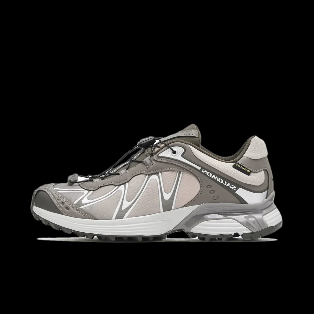 Salomon XT-Whisper GTX 'Iron'